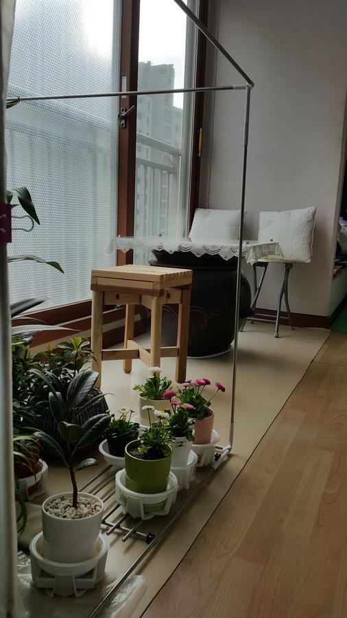 Sweet & Cozy Soony Homestay Homestay