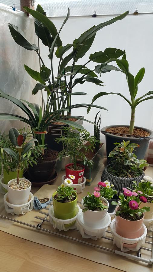 Sweet & Cozy Soony Homestay Seoul